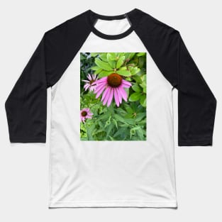 Purple Coneflower Baseball T-Shirt